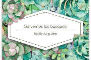 Bastien Vivès: de la aventura más ecologista de 'Corto Maltés' al humor negro de '¿Y encima os hace gracia?'